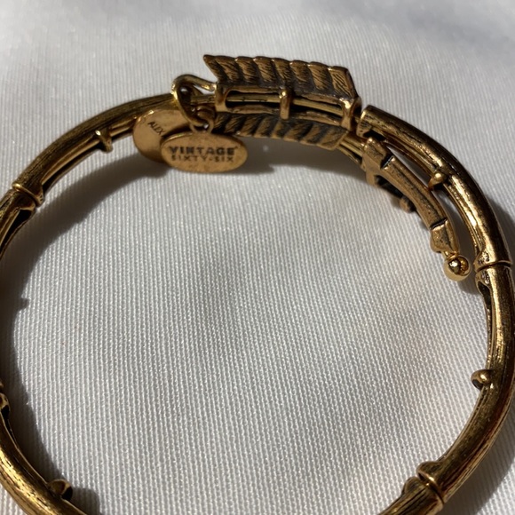 Alex and Ani Gold Arrow Wrap Bracelet - Picture 4 of 4